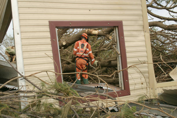 Best Tree and Shrub Care  in Little Silver, NJ